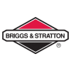 Briggs and Stratton